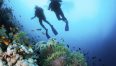 5854-immersioni-subacquee-come-evitare-i-pericoli-della-risalita-preview-default