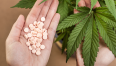 cannabis-più-efficace-dei-farmaci-oppioidi