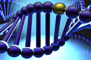 Golden gene in DNA