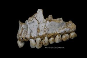 neanderthal-repeat-cd76bb06-0430-11e7-ad5b-d22680e18d10