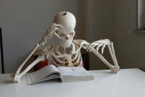 scheletro che studia