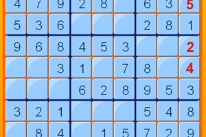 sudoku-puzzle